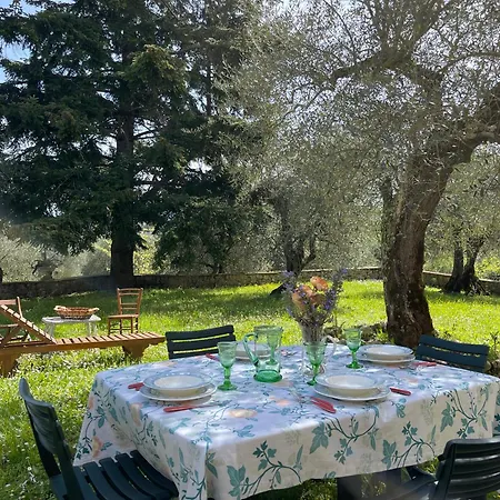 Villa Vignano: Vicino Centro