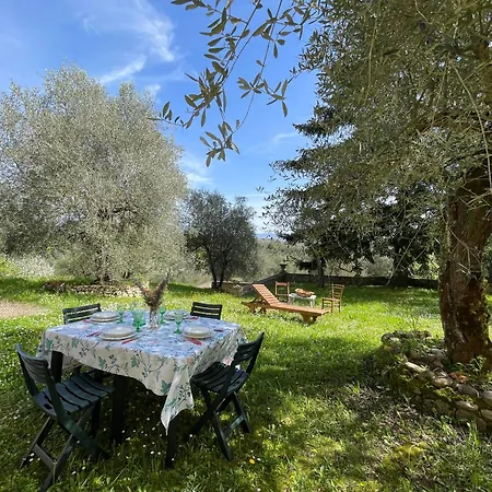 Villa Vignano: Vicino Centro