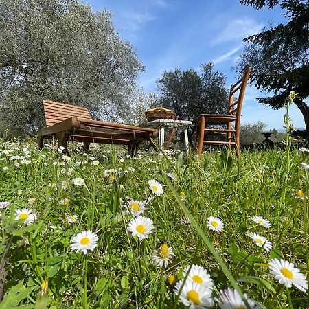 Villa Vignano: Vicino Centro Siena