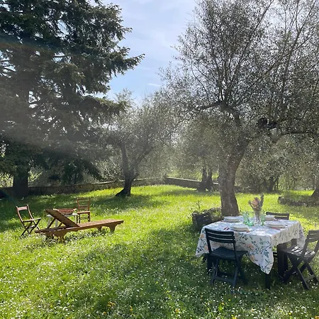 Villa Vignano: Vicino Centro Siena